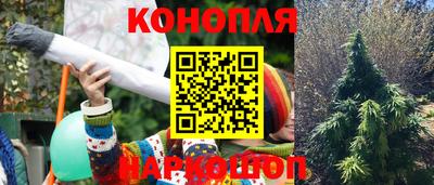 метадон Новодвинск