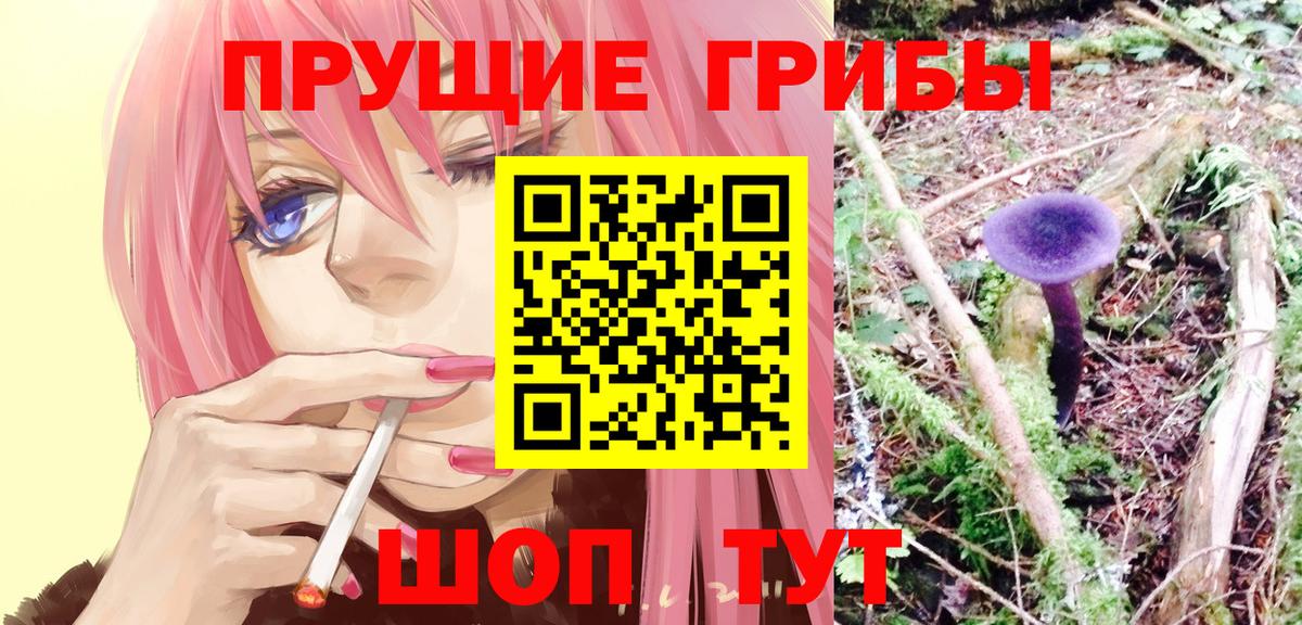 Псилоцибиновые грибы Cubensis Рубцовск
