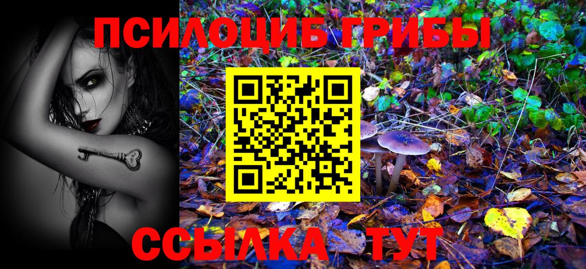 Псилоцибиновые грибы Psilocybine cubensis  Вход с VPN  Рубцовск  хочу наркоту  Псилоцибиновые грибы прущие грибы 